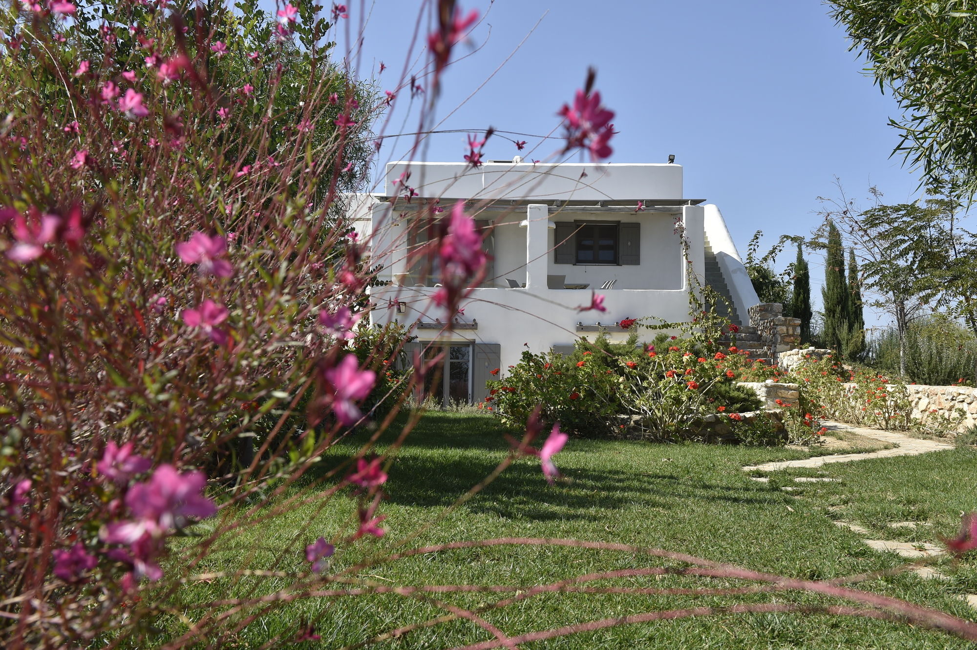 Naoussa Hills Boutique Resort- Adults Only Parikia  Exterior photo